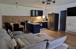 CASA DEOSEBITA IN VAMA BUZAULUI, 800 MP, PRET 159900 EURO 