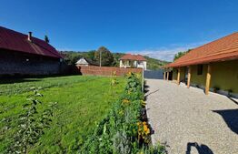 CASA DEOSEBITA IN VAMA BUZAULUI, 800 MP, PRET 151,000 EURO 