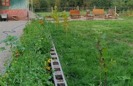 CASA DEOSEBITA IN VAMA BUZAULUI, 800 MP, PRET 159900 EURO 