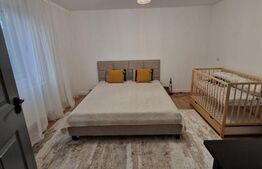 CASA DEOSEBITA IN VAMA BUZAULUI, 800 MP, PRET 151,000 EURO 