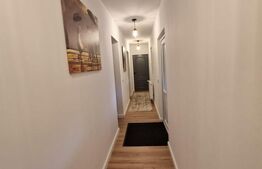 CASA DEOSEBITA IN VAMA BUZAULUI, 800 MP, PRET 159900 EURO 