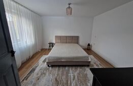 CASA DEOSEBITA IN VAMA BUZAULUI, 800 MP, PRET 151,000 EURO 