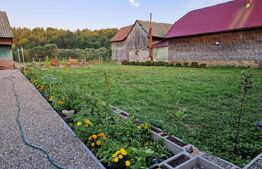 CASA DEOSEBITA IN VAMA BUZAULUI, 800 MP, PRET 159900 EURO 