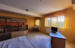 Garsoniera, 35 mp, la casa, zona BT Arena