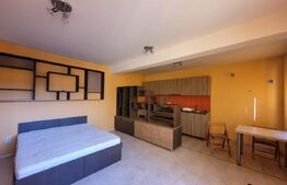 Garsoniera, 35 mp, la casa, zona BT Arena