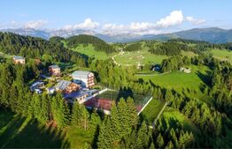 OPORTUNITATE RARĂ DE INVESTIȚIE: Resort Turistic Premium în Inima Munților