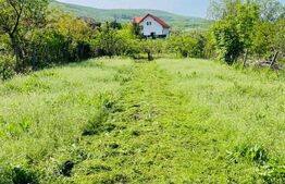 Casa cu 2 camere, 141 mp, 690 mp teren,  Petrestii de Mijloc 