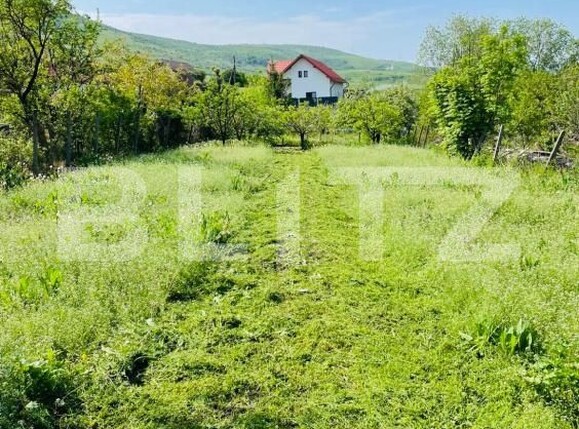 Casa de vânzare 2 camere Petrestii de Mijloc - 187016CV | BLITZ Cluj-Napoca | Poza8
