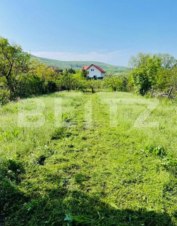 Casa de vânzare 2 camere Petrestii de Mijloc - 187016CV | BLITZ Cluj-Napoca | Poza3