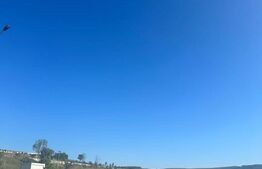 EXCLUSIVITATE - 11 100 mp SOPOR cu destinatia de CIMITIR