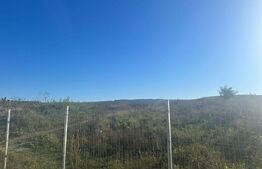 EXCLUSIVITATE - 11 100 mp SOPOR cu destinatia de CIMITIR