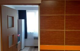 Garsoniera de vanzare, 22 mp, renovata, mobilata, zona Noua