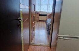 Garsoniera de vanzare, 22 mp, renovata, mobilata, zona Noua