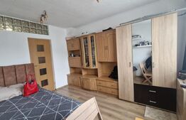 Garsoniera de vanzare, 22 mp, renovata, mobilata, zona Noua