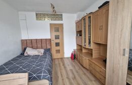 Garsoniera de vanzare, 22 mp, renovata, mobilata, zona Noua