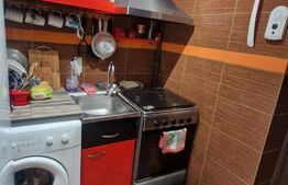 Garsoniera de vanzare, 22 mp, renovata, mobilata, zona Noua