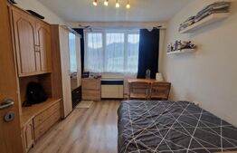 Garsoniera de vanzare, 22 mp, renovata, mobilata, zona Noua