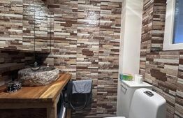 Casa spatioasa pentru 2 familii, cu gradina - Bod