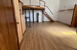 Apartament 1 camera, 30 mp, zona UMF