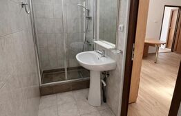 Apartament 1 camera, 30 mp, zona UMF