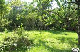 Casa de vanzare in zona centrala, 260 mp utili