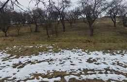 Teren intravilan în Mihai Viteazu, langa Turda, 2 parcele disponibile