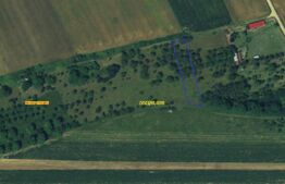 Teren de vânzare Dambul Rotund - 190123TV | BLITZ Cluj-Napoca | Poza5