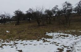 Teren intravilan în Mihai Viteazu, langa Turda, 2 parcele disponibile