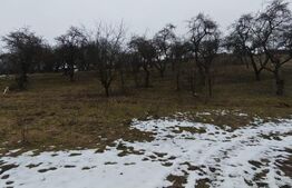 Teren intravilan în Mihai Viteazu, langa Turda, 2 parcele disponibile