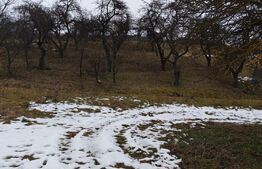 Teren intravilan în Mihai Viteazu, langa Turda, 2 parcele disponibile