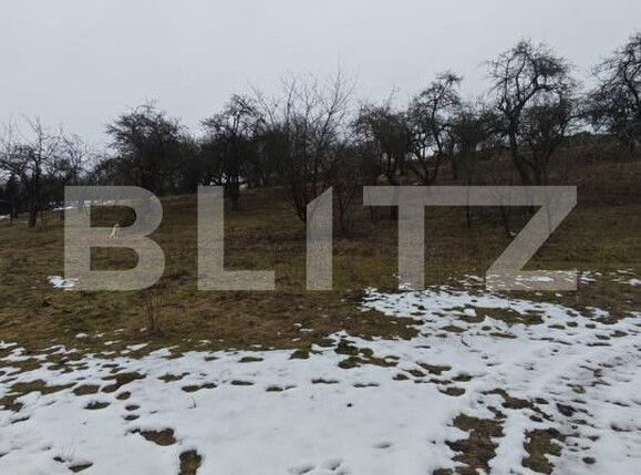 Teren de vânzare Mihai Viteazu - 187117TV | BLITZ Cluj-Napoca | Poza5