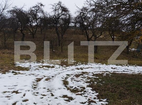 Teren de vânzare Mihai Viteazu - 187117TV | BLITZ Cluj-Napoca | Poza3