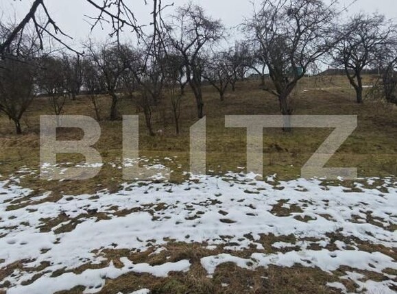 Teren de vânzare Mihai Viteazu - 187117TV | BLITZ Cluj-Napoca | Poza7
