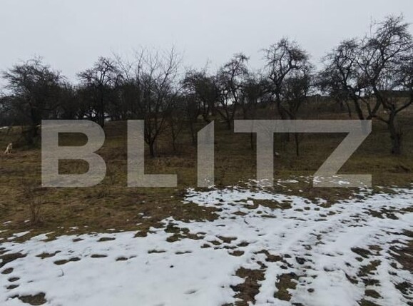 Teren de vânzare Mihai Viteazu - 187117TV | BLITZ Cluj-Napoca | Poza6