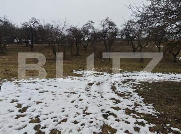 Teren de vânzare Mihai Viteazu - 187117TV | BLITZ Cluj-Napoca | Poza7