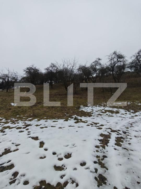 Teren de vânzare Mihai Viteazu - 187117TV | BLITZ Cluj-Napoca | Poza5