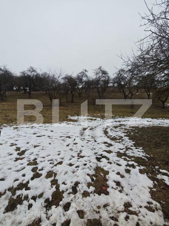 Teren de vânzare Mihai Viteazu - 187117TV | BLITZ Cluj-Napoca | Poza7