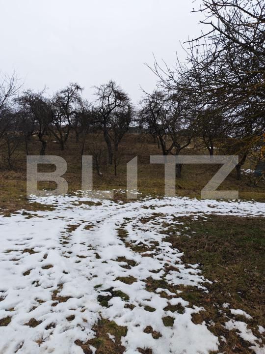 Teren de vânzare Mihai Viteazu - 187117TV | BLITZ Cluj-Napoca | Poza3
