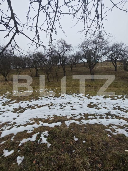 Teren de vânzare Mihai Viteazu - 187117TV | BLITZ Cluj-Napoca | Poza4