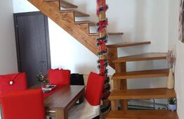 Casa de vanzare in Caianu Vama 120 mp P+M  160000 EURO