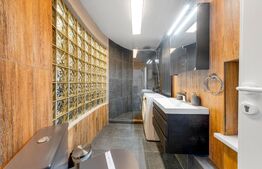 Casa de vanzare str. Republicii I Clinica I Aparthotel I Sediu birouri