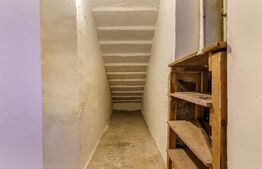 3 camere, gradina, central, Emil Racovita 16