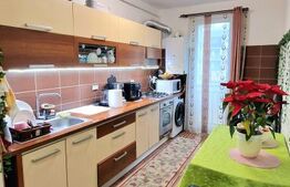 Apartament cu 2 dormitoare, etajul 1, 56 mp, terasa, zona Porii