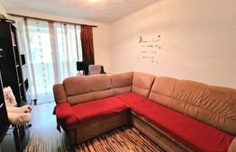 Apartament cu 2 dormitoare, etajul 1, 56 mp, terasa, zona Porii