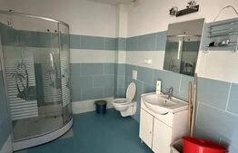 Casa spatioasa, 5 dormitoare, 280 mp, zona Faget