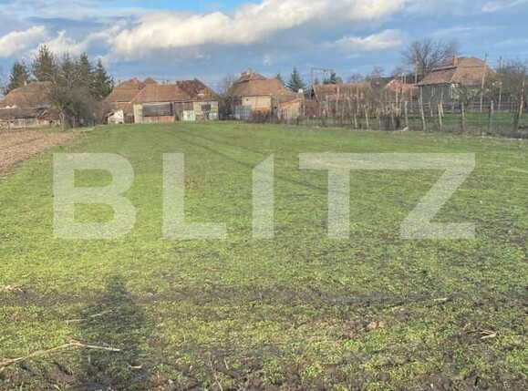 Teren de vânzare Calarasi-Gara - 187227TV | BLITZ Cluj-Napoca | Poza1