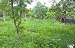 Vanzare casa cu 500 mp teren, zona Gheorgheni