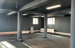 Spațiu comercial de închiriat Manastur - 168358SIC | BLITZ Cluj-Napoca | Poza1