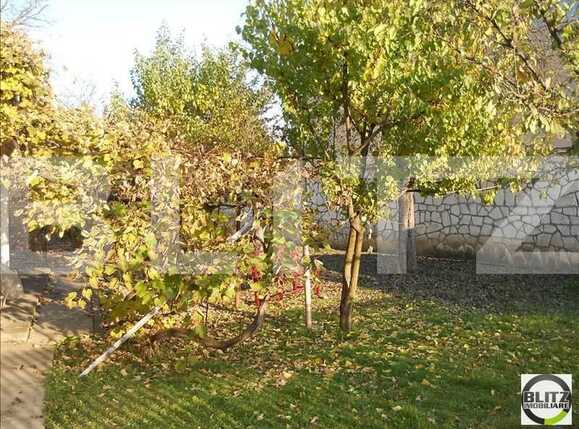 Casa de vânzare 1 camera Grigorescu - 18725CV | BLITZ Cluj-Napoca | Poza4