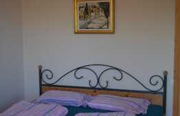 Oportunitate de investitie! Casa si pensiune, 20 camere, 600 mp utili, teren 800 mp!